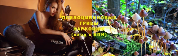 метамфетамин Белокуриха